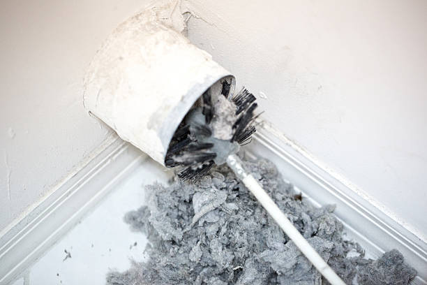 Best Air Duct Sanitizing Services  in Clinton, IL